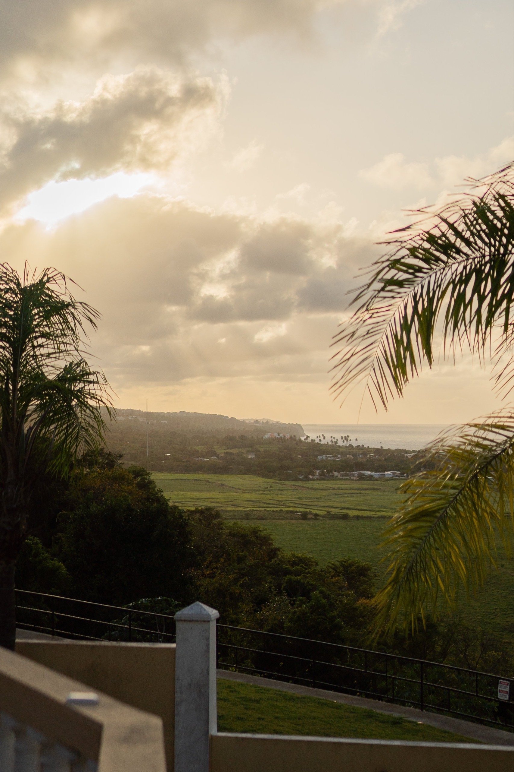 Explore the North Coast — Casa Nakhla