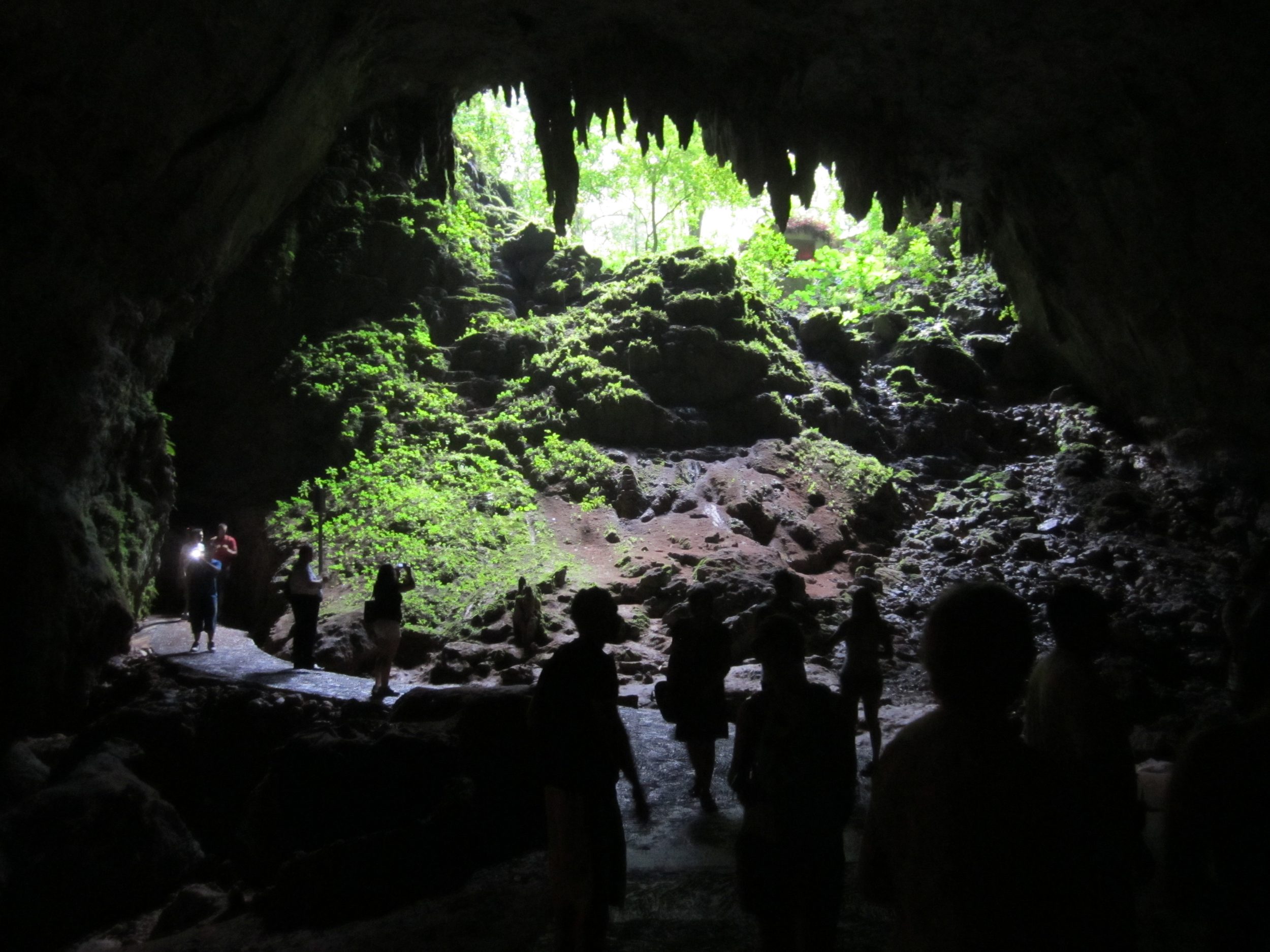 Visitors dwarfed by the mouth of Cueva Clara at Río Camuy Cave Park